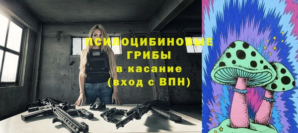 гидропоника Горно-Алтайск