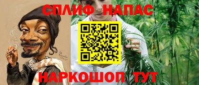 гидра Донецк