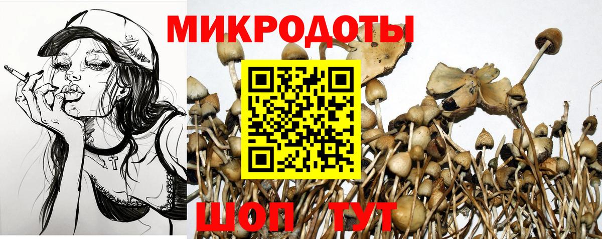 Галлюциногенные грибы мицелий Мценск