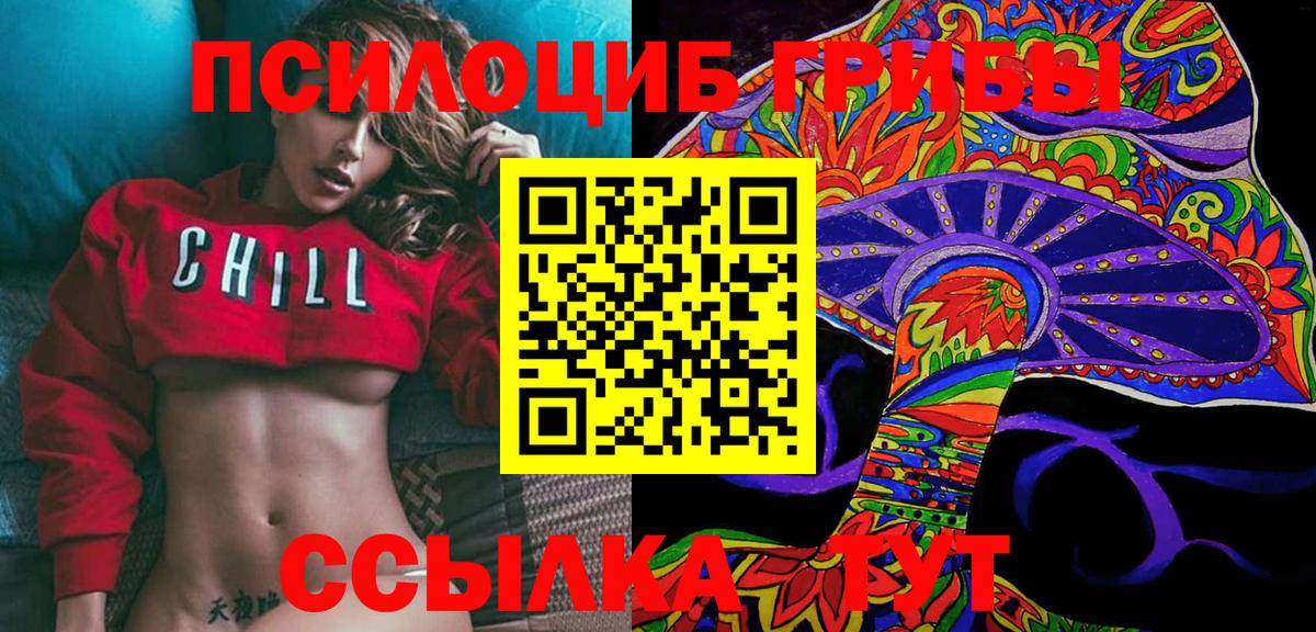 Псилоцибиновые грибы прущие грибы  Вход с VPN  Мценск 