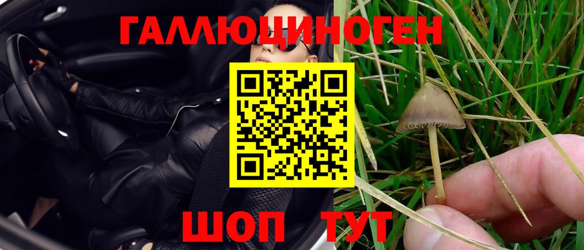 Псилоцибиновые грибы MAGIC MUSHROOMS  Мценск  Галлюциногенные грибы Cubensis 